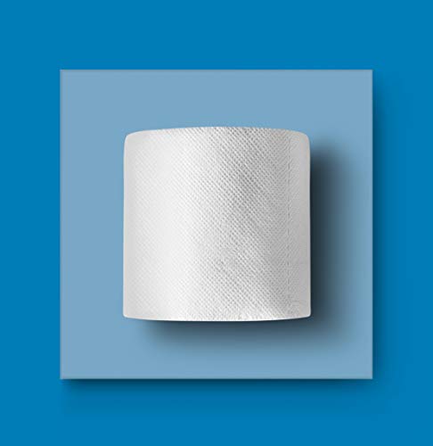 AmazonCommercial Carta igienica 2 veli pura cellulosa 120 rotoli (12 confezioni da 10) 180 fogli per rotolo dimensioni del foglio: 9,5cm x 11cm Compatibile con dispenser T4/T6 - Funzionalità e accessori